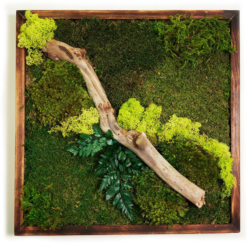 Moss wall art 18x18 Wabi moss