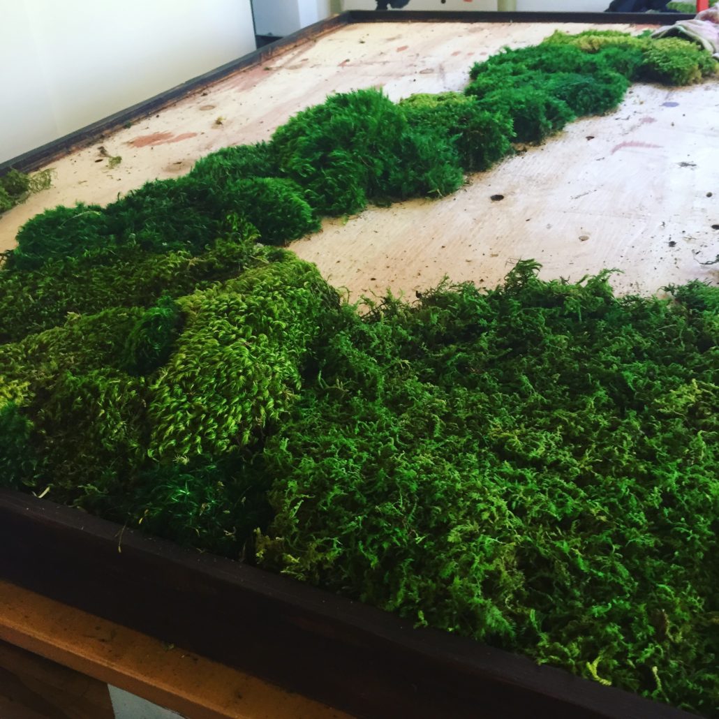 Moss Art Gallery Wabi moss