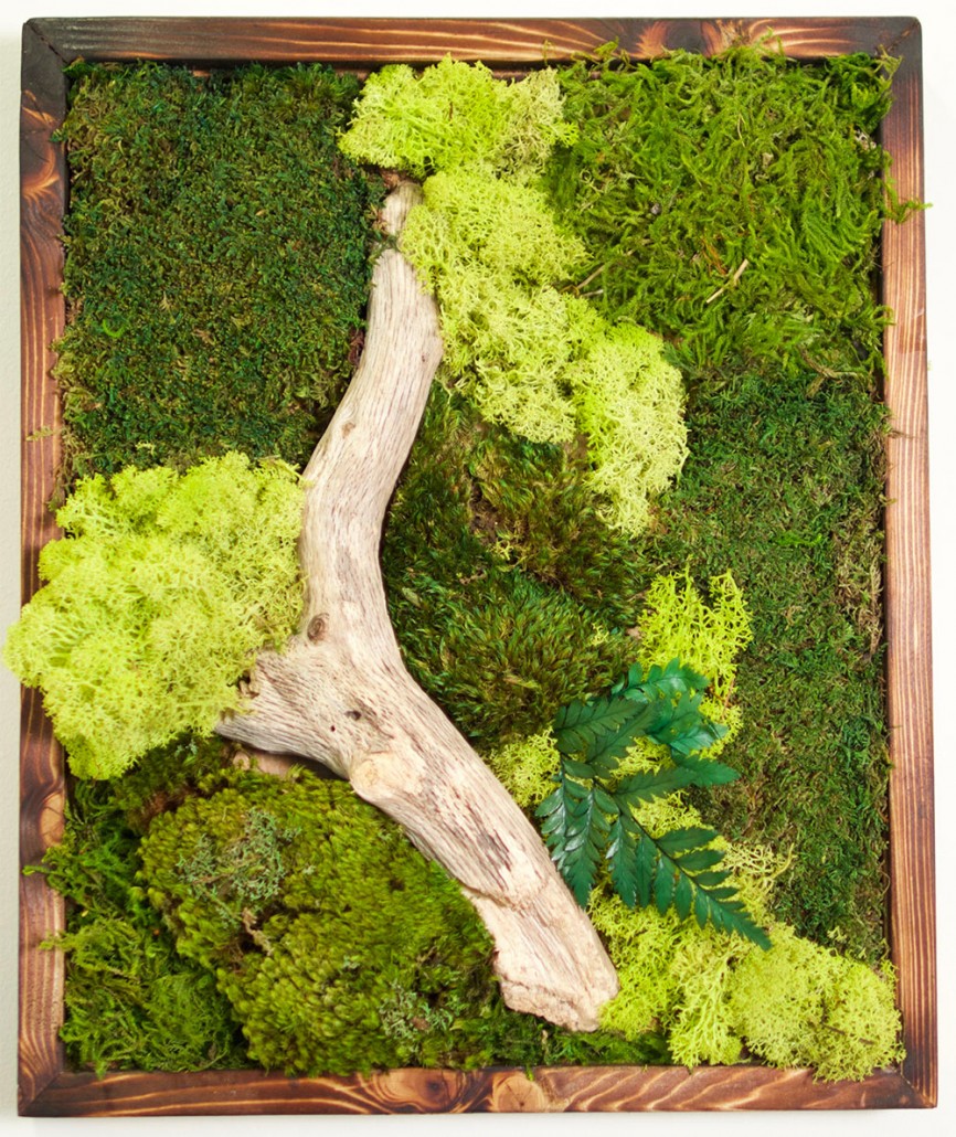 Moss Art Gallery Wabi moss