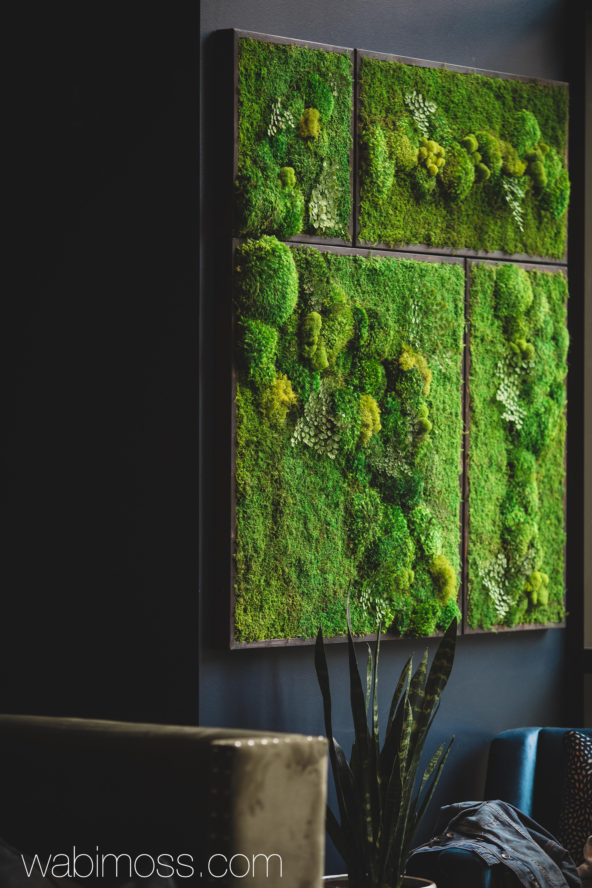 58x58" Real Preserved Moss Wall Art Green Wall Collage No ...