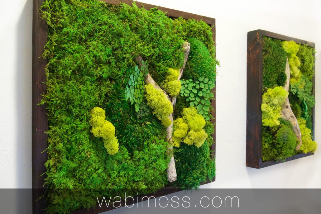 Moss Art Gallery Moss Art Pieces and Projects - WabiMoss