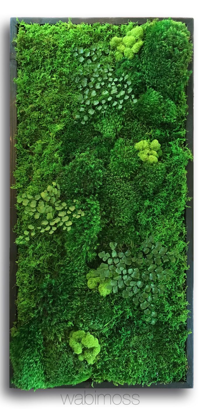 58x58" Real Preserved Moss Wall Art Green Wall Collage No Sticks. No