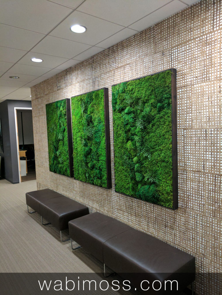 Green wall art. Three moss panels. 