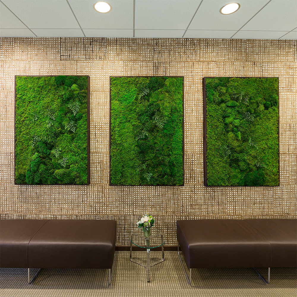 Moss Wall Art by WabiMoss | Green wall art for your interior space.