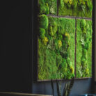 moss-wall-art-coffee-shop-A
