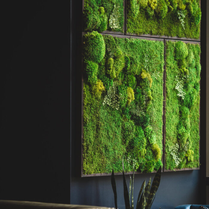 moss-wall-art-coffee-shop-A