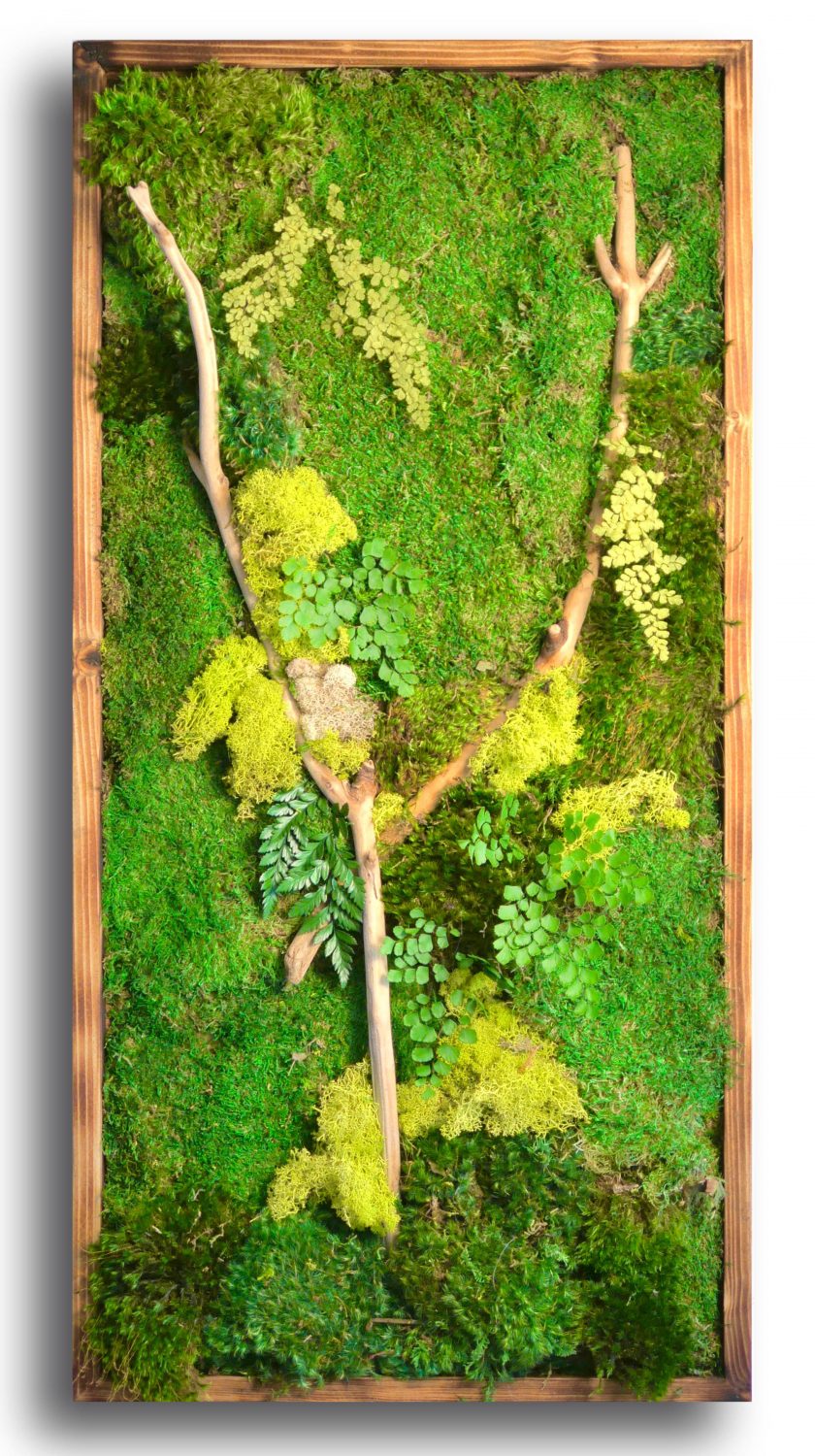 Why Moss Art? The Beauty Behind the Moss WabiMoss