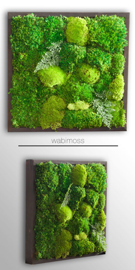 small moss artwork