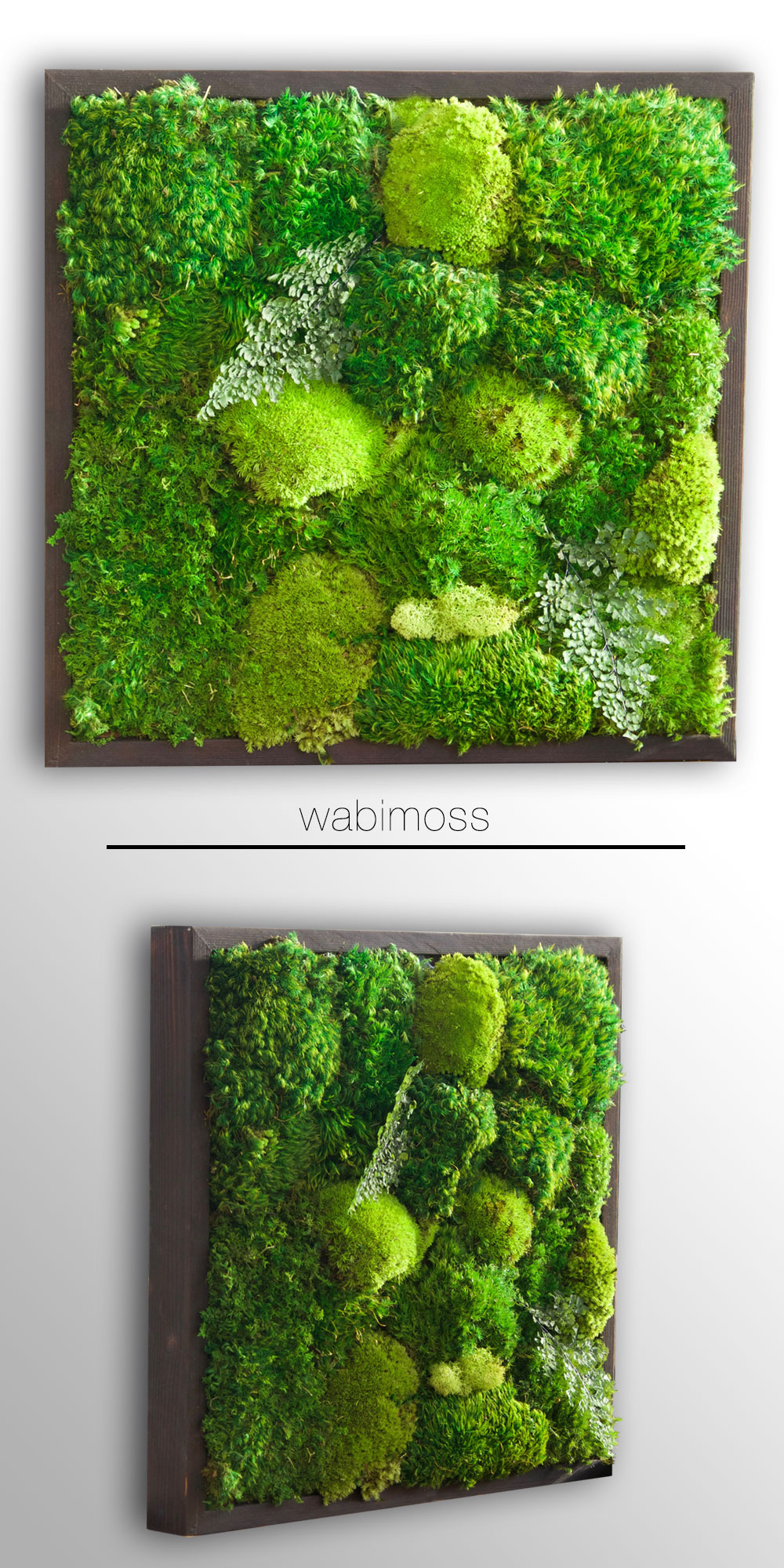 Moss Wall Art 18x18