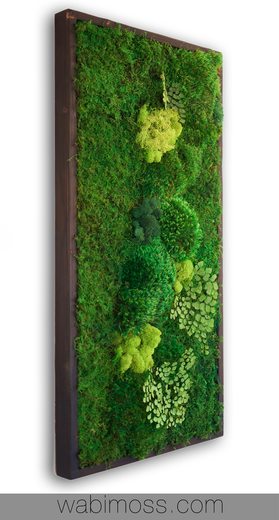Framed moss wall art Island in a backwater