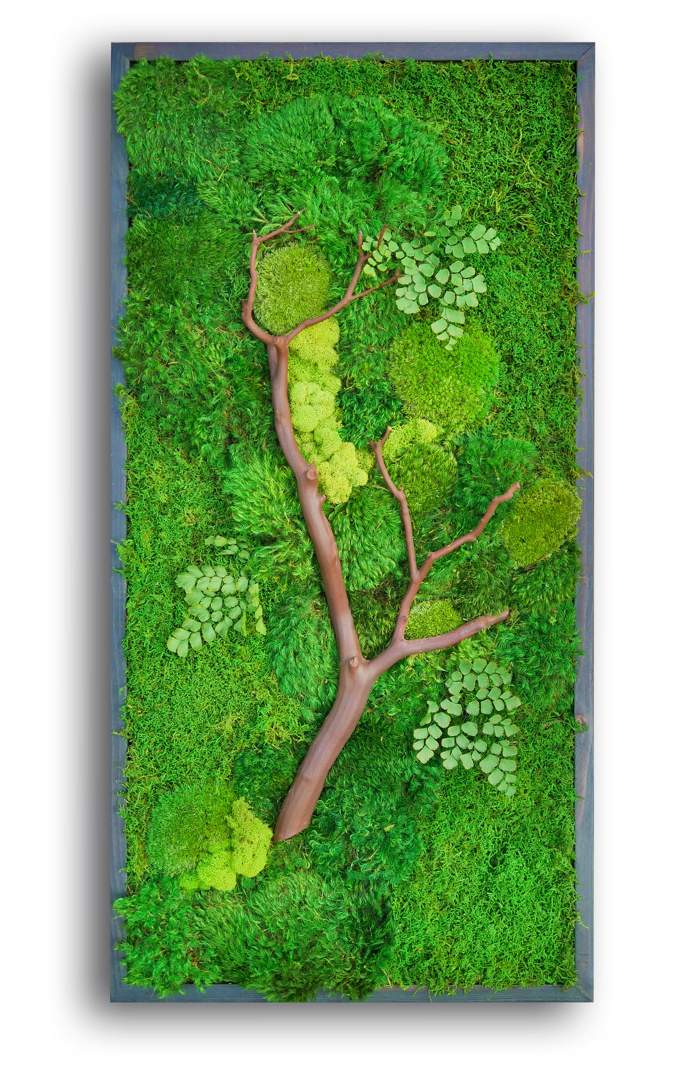 Moss Wall Art 36x18 with Manzanita Branches