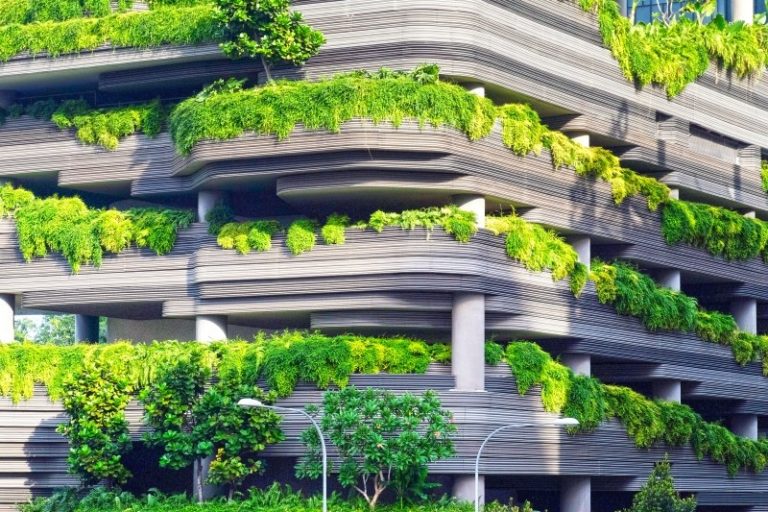 Biophilic Designs: what is it and why is it so popular?