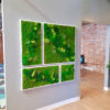 large moss collage in white