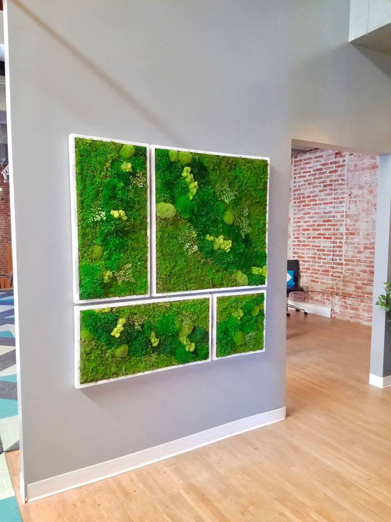 58x58 Real Preserved Moss Wall Art Green Wall Collage No Sticks. No Care Green Wall Art. Real Preserved Moss and Ferns