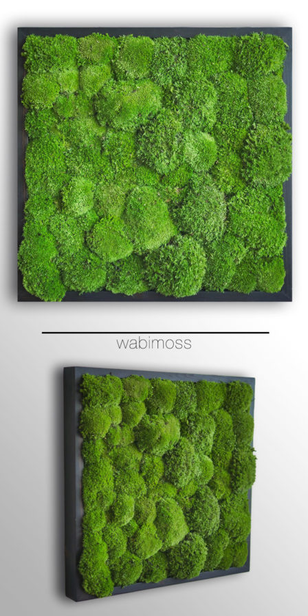 pole moss, bun moss, cushion moss, artwork
