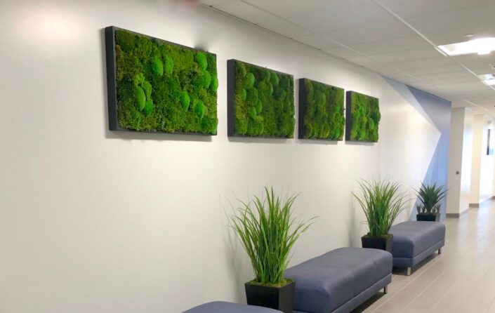 four rectangular moss artwork