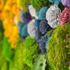 flower moss1