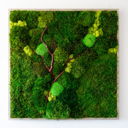 Moss Wall Art with Driftwood in BeltLine Box Frame