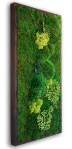 Commercial Moss Wall Art